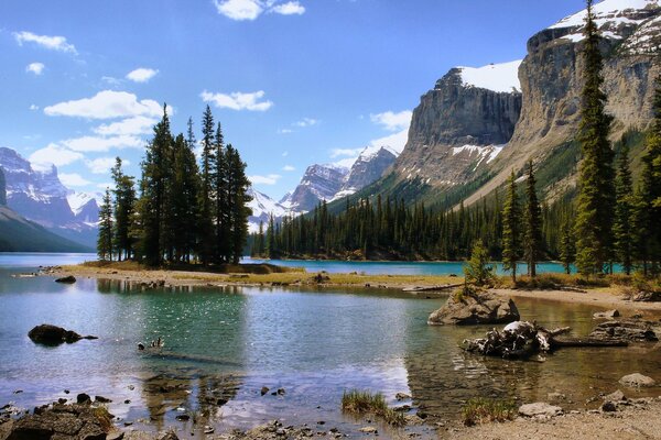 Canadian landscape, forest lake is covered by a high wave