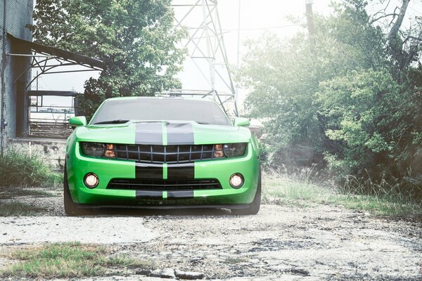 Zielony Chevrolet Camaro z czarnymi paskami pośrodku