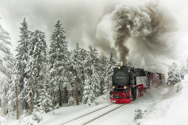 Train de paysage d hiver se précipite à travers la forêt