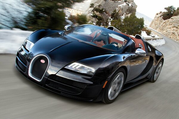 Bugatti Veyron roadster car