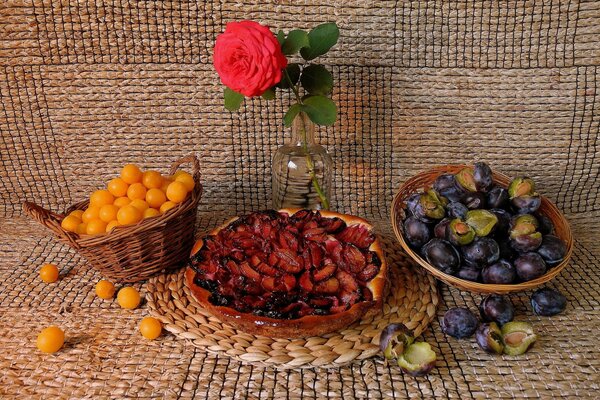 Fruit landscape with red rose for still life