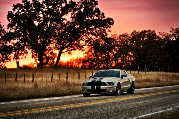 Un Ford Mustang plateado monta en la carretera en medio de la puesta de sol