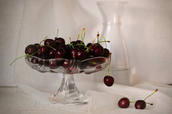 Still-life. Juicy cherries in a vase