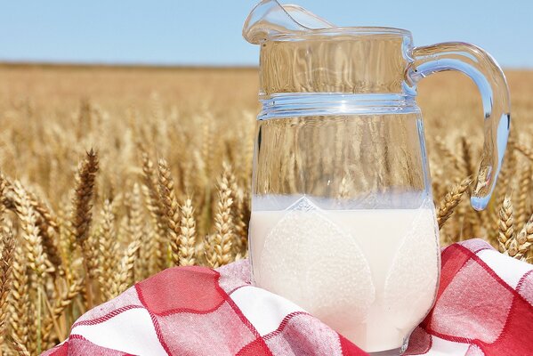 Ein Krug mit Milch auf einem Weizenfeld