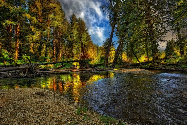 Faszinierende Herbstlandschaft am Fluss