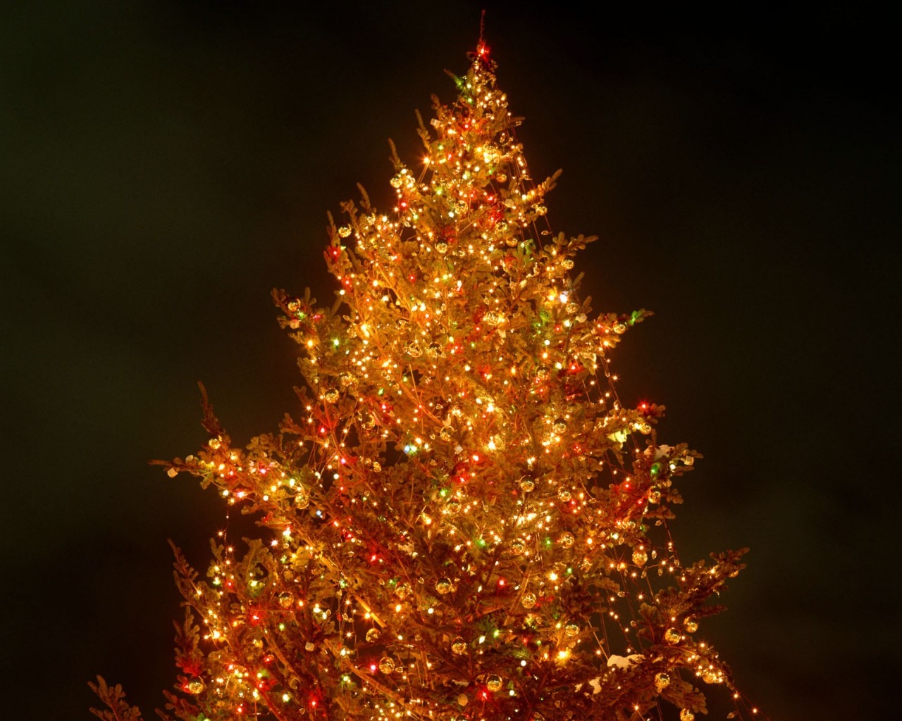 año nuevo noche árbol de navidad luces