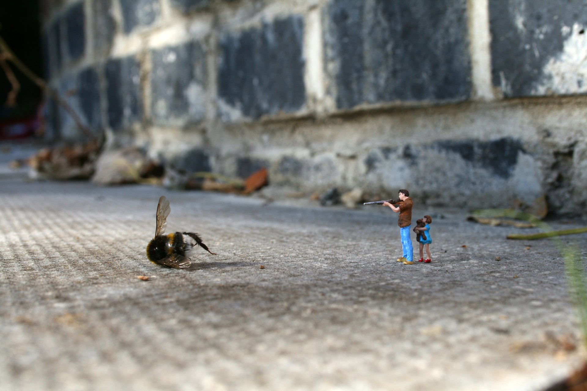 miniatures creating macro creativing petits hommes