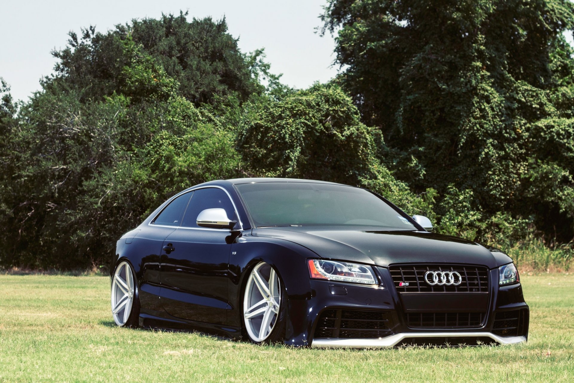 audi s5 car machinery tuning planting drives grass tree field