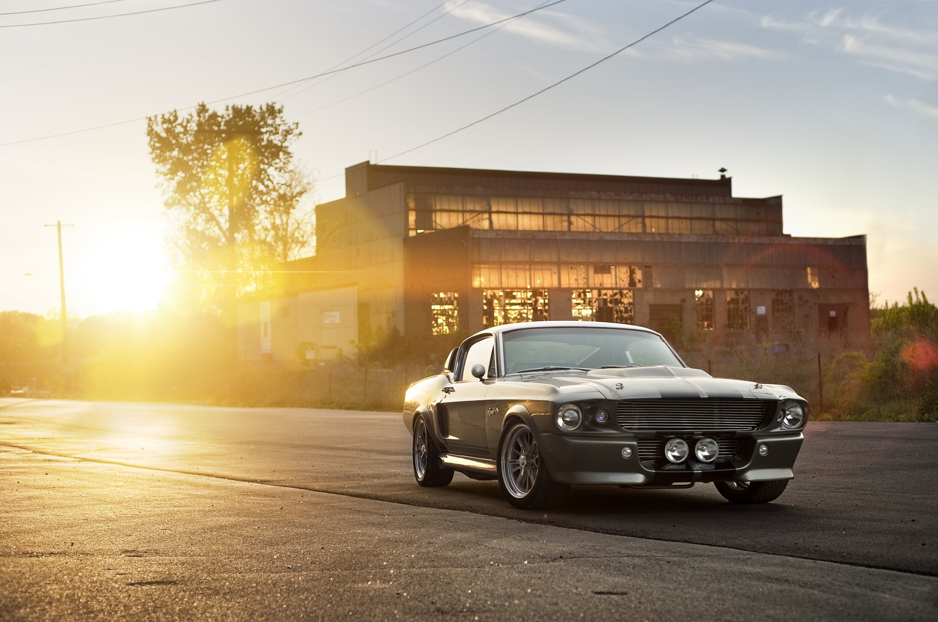 ford shelby gt 500 eleanor silver muscle car front muscle car silver building sun glare