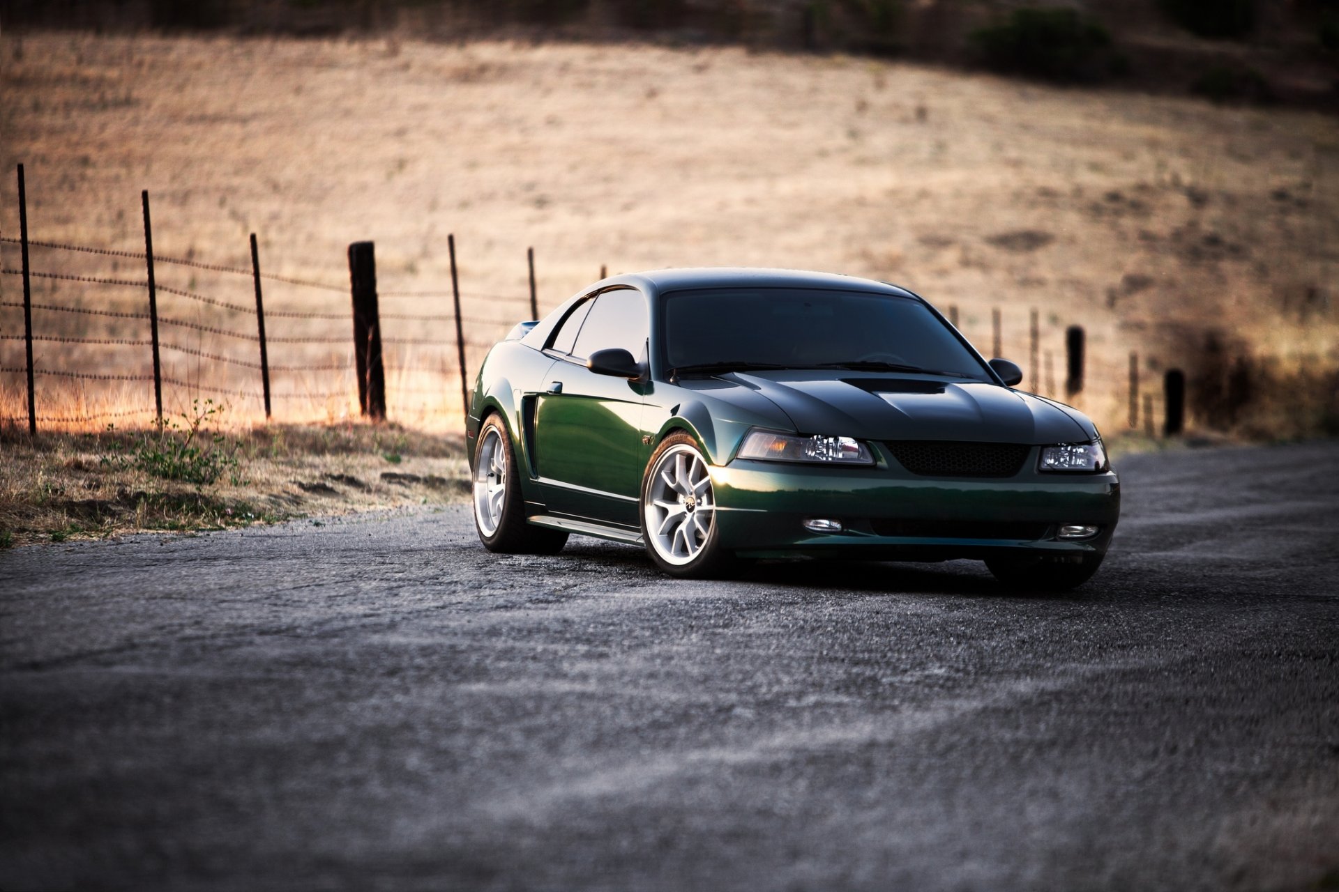 ford mustang zielony droga pole ogrodzenie