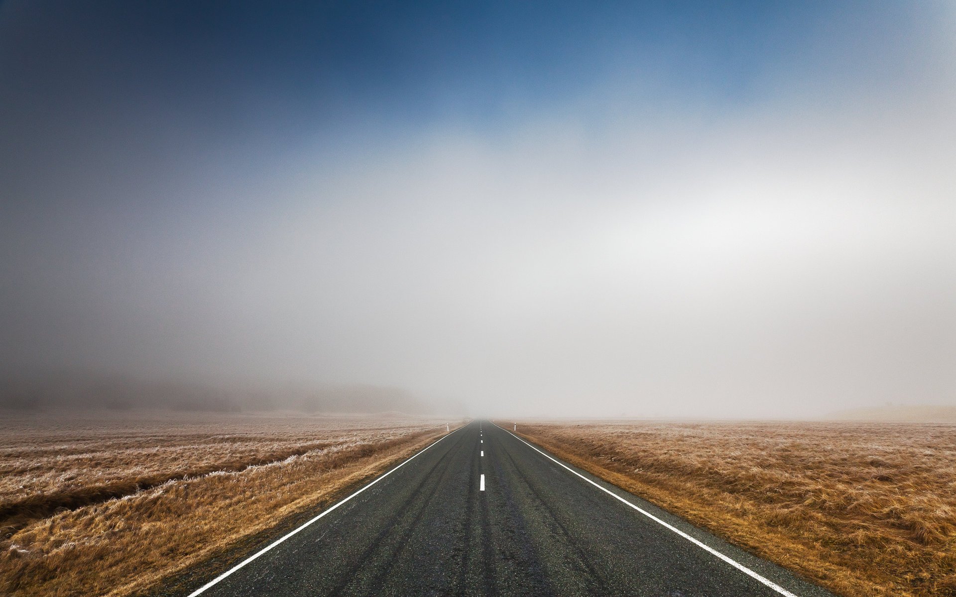 nature morning field road landscape asphalt track