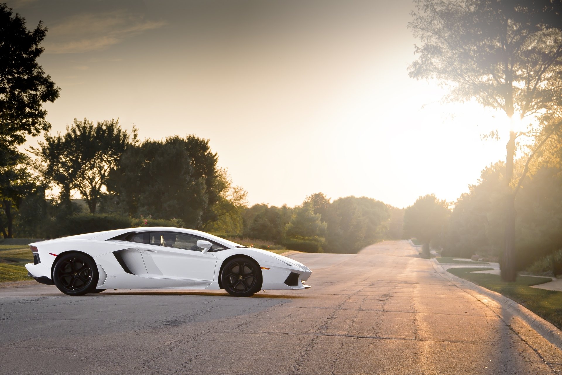 lamborghini aventador lp700-4 bianco nero ruote lamborghini aventador profilo cerchi neri strada alberi tramonto bagliore