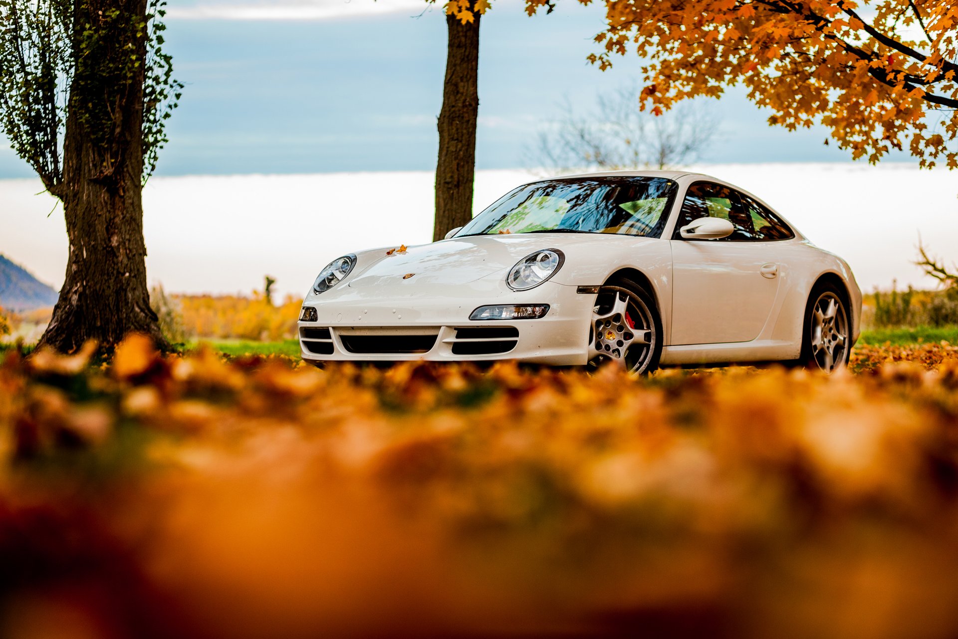 porsche 911 weiß herbst baum laub himmel porsche blätter