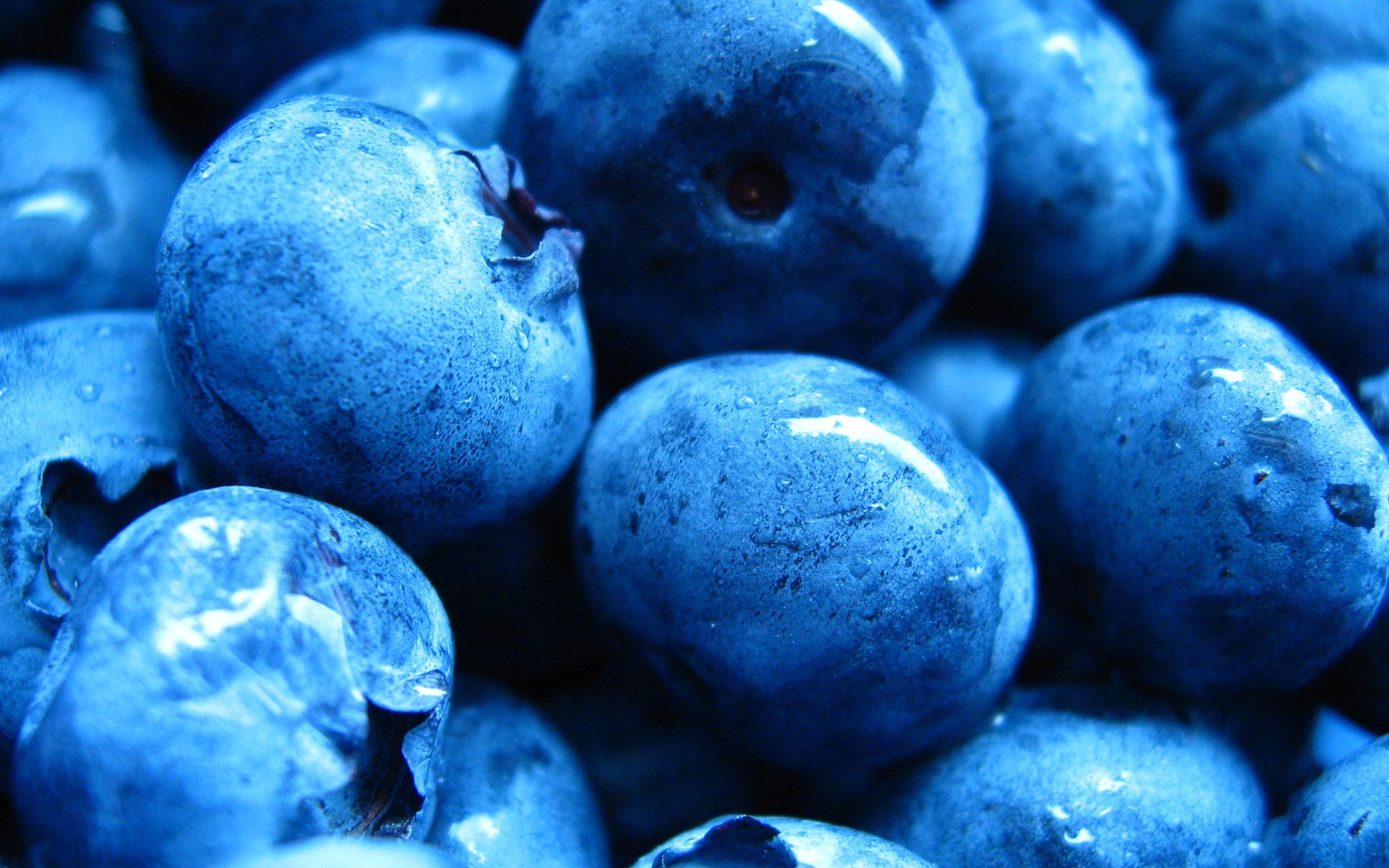 blueberries berry drop