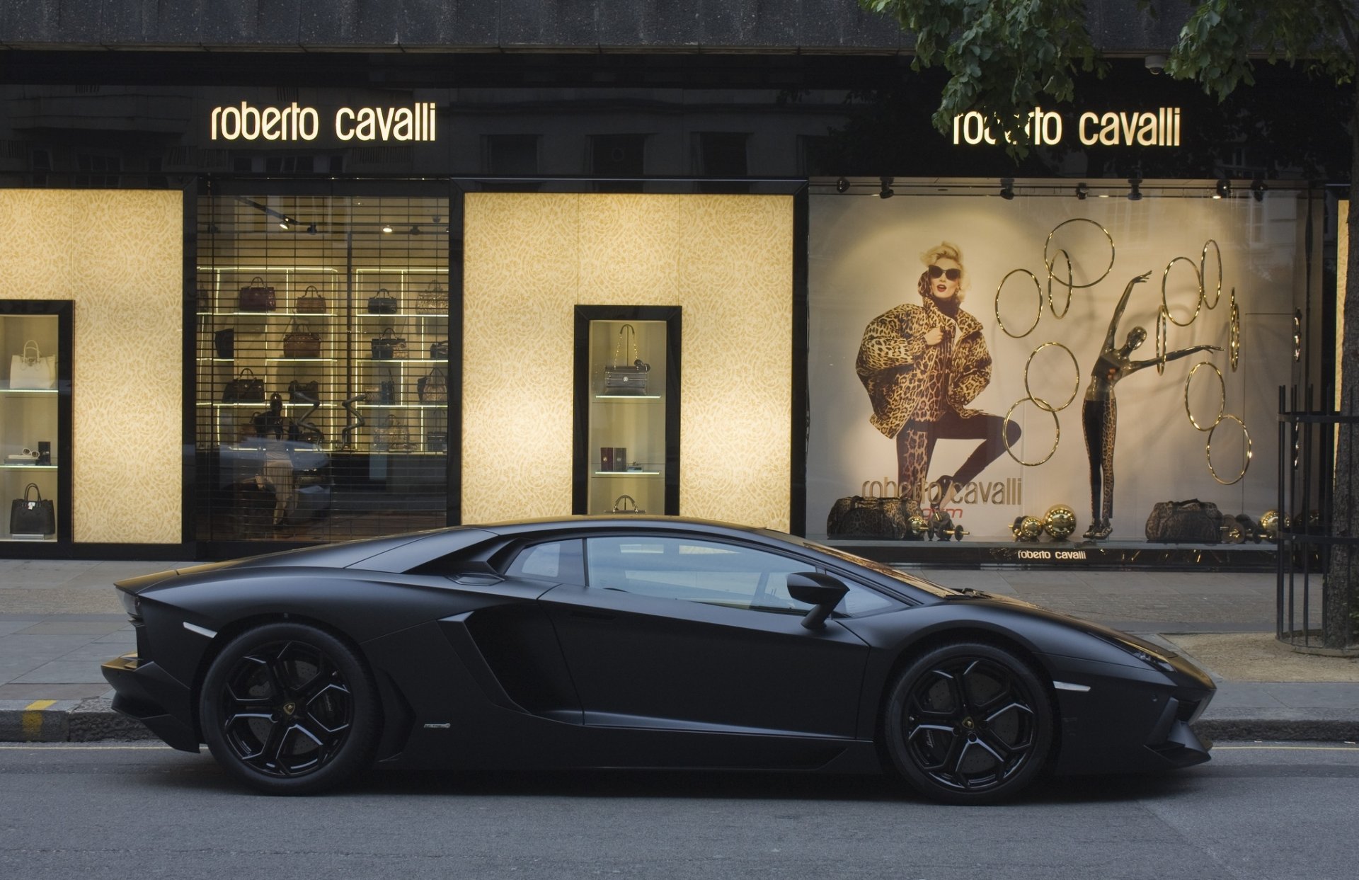 lamborghini aventador lp700 matte black street shop lamborghini aventador matte black profile boutique roberto cavalli