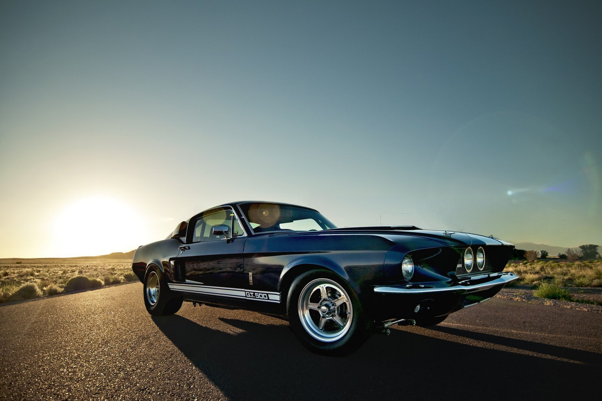 ford mustang shelby gt 500 arbustos de carretera desierto rayos sol coche del músculo coche del músculo