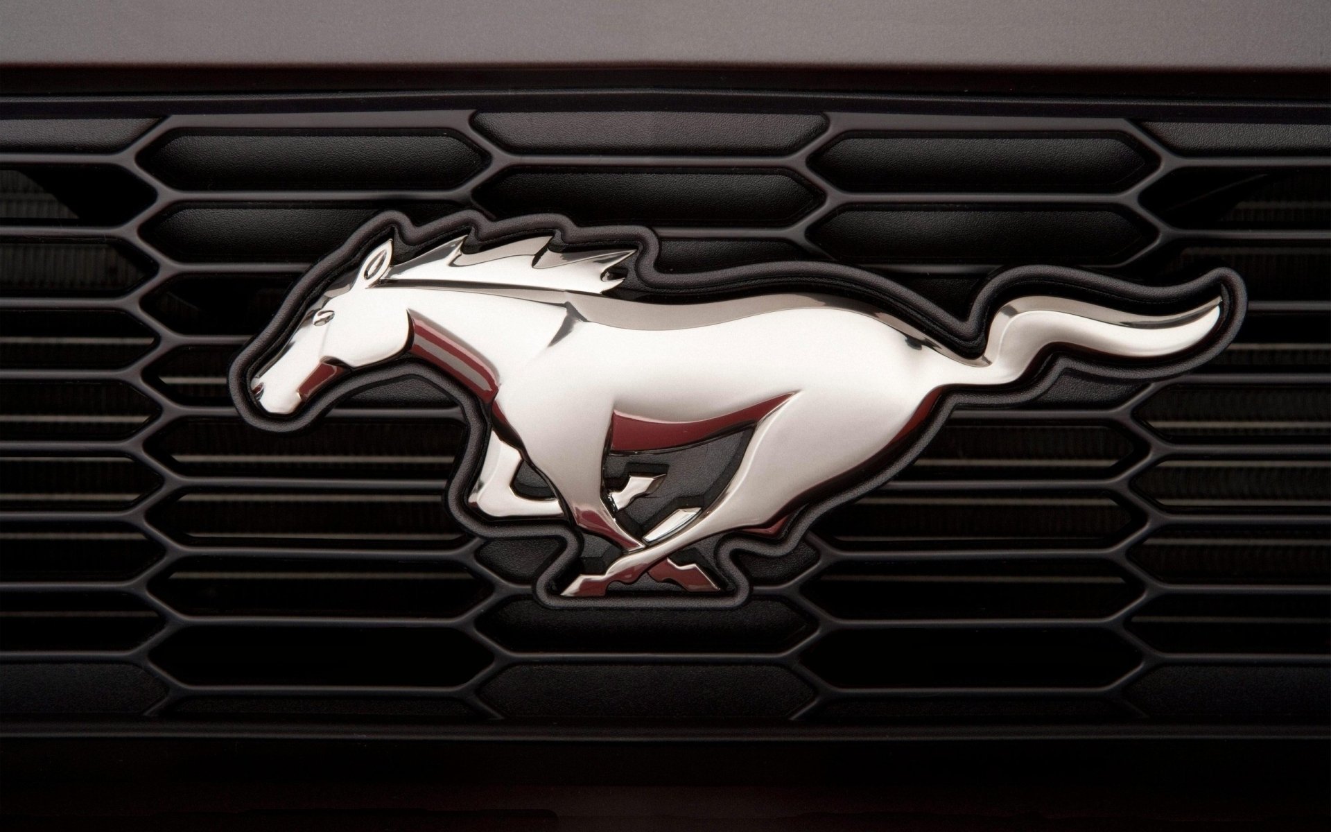 ford mustang emblem schild pferd pferd chrom kühlergrill makro