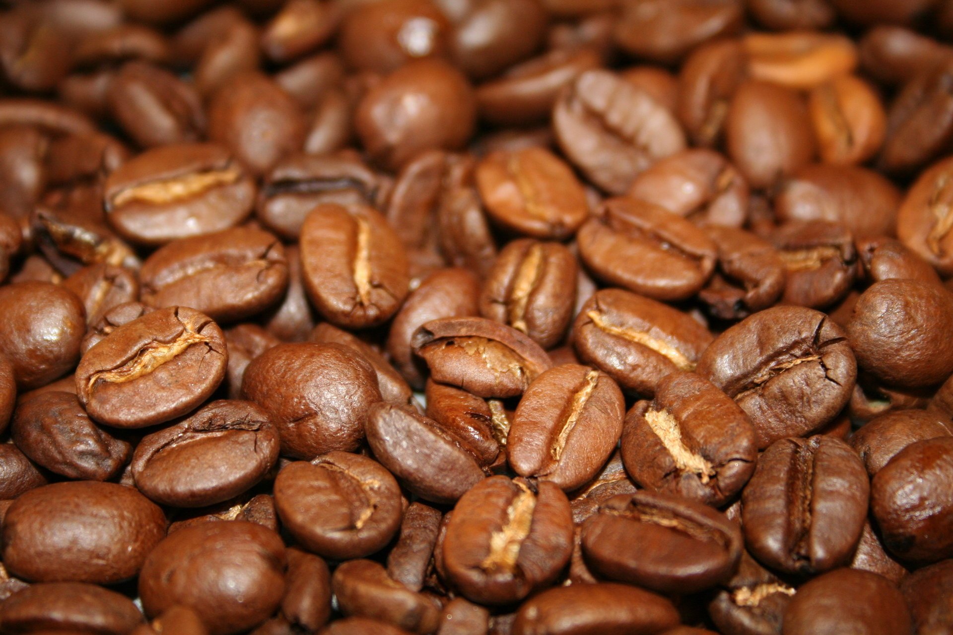 food coffee beans coffee