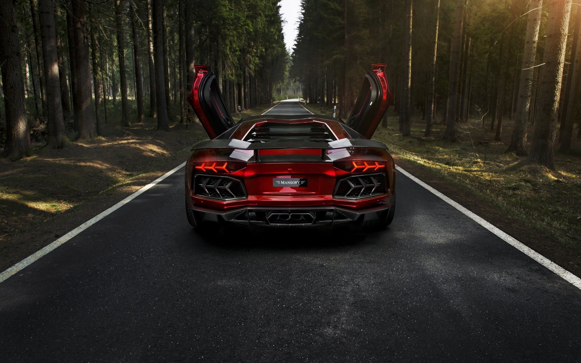 aventador lp700-4 lamborghini авентадор mansory лес ламборгини