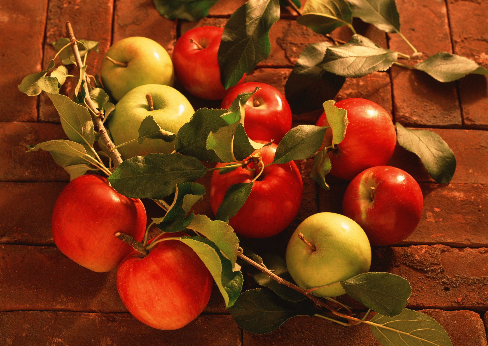 pommes juteuses feuilles