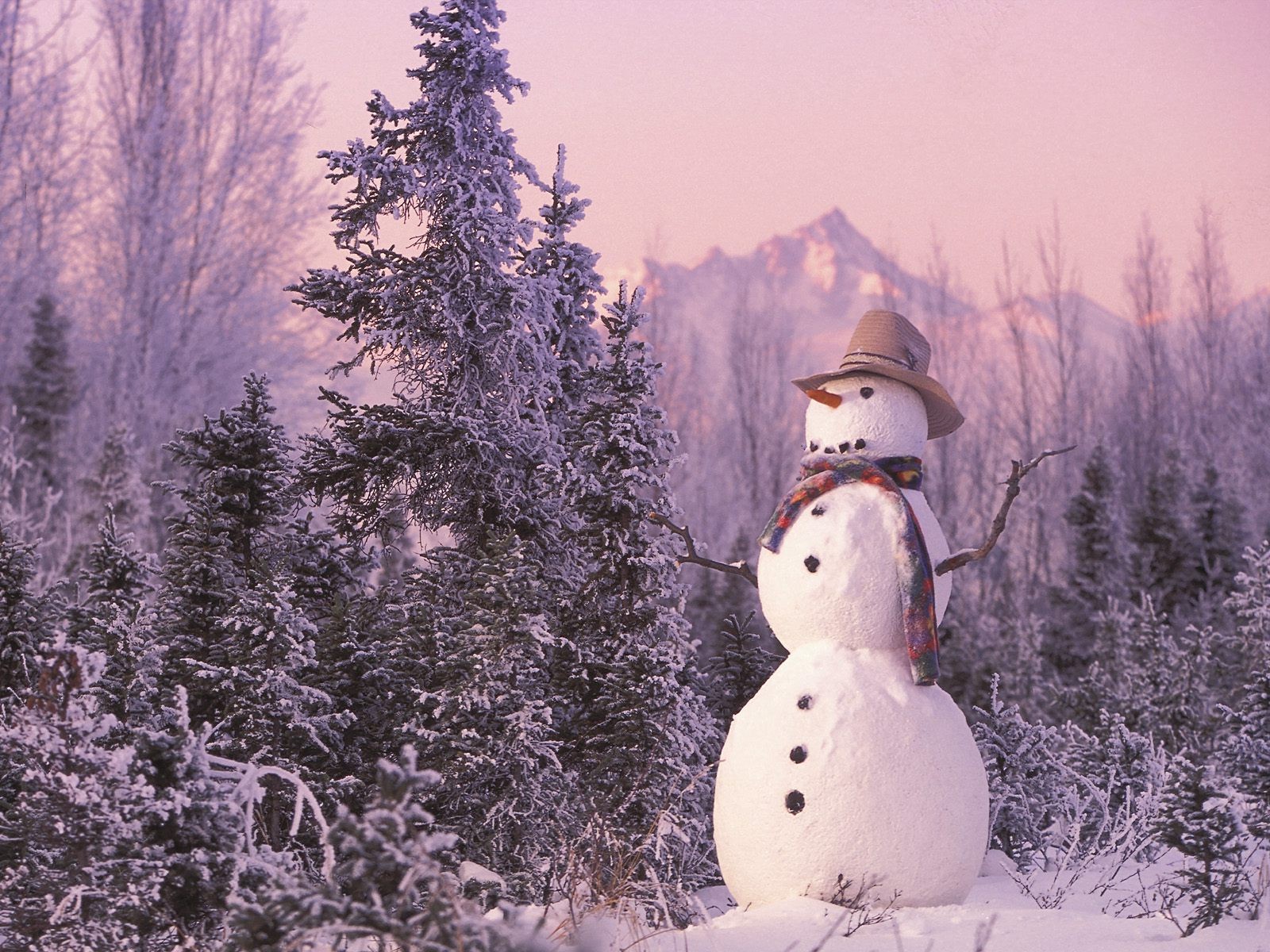 nouvel an forêt bonhomme de neige hiver