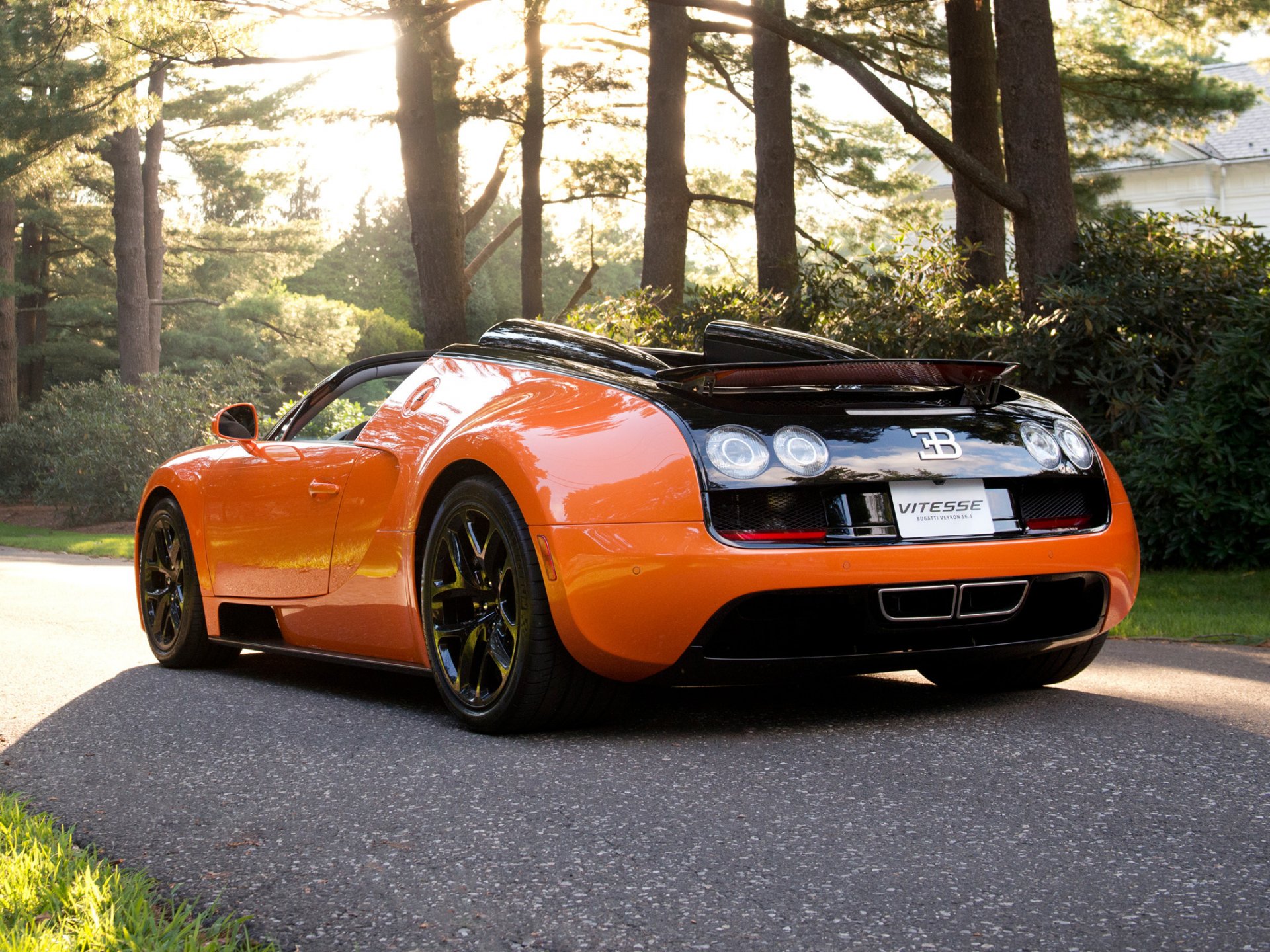 voitures sport voiture bugatti veyron bugatti veyron vitess orange noir route arbres