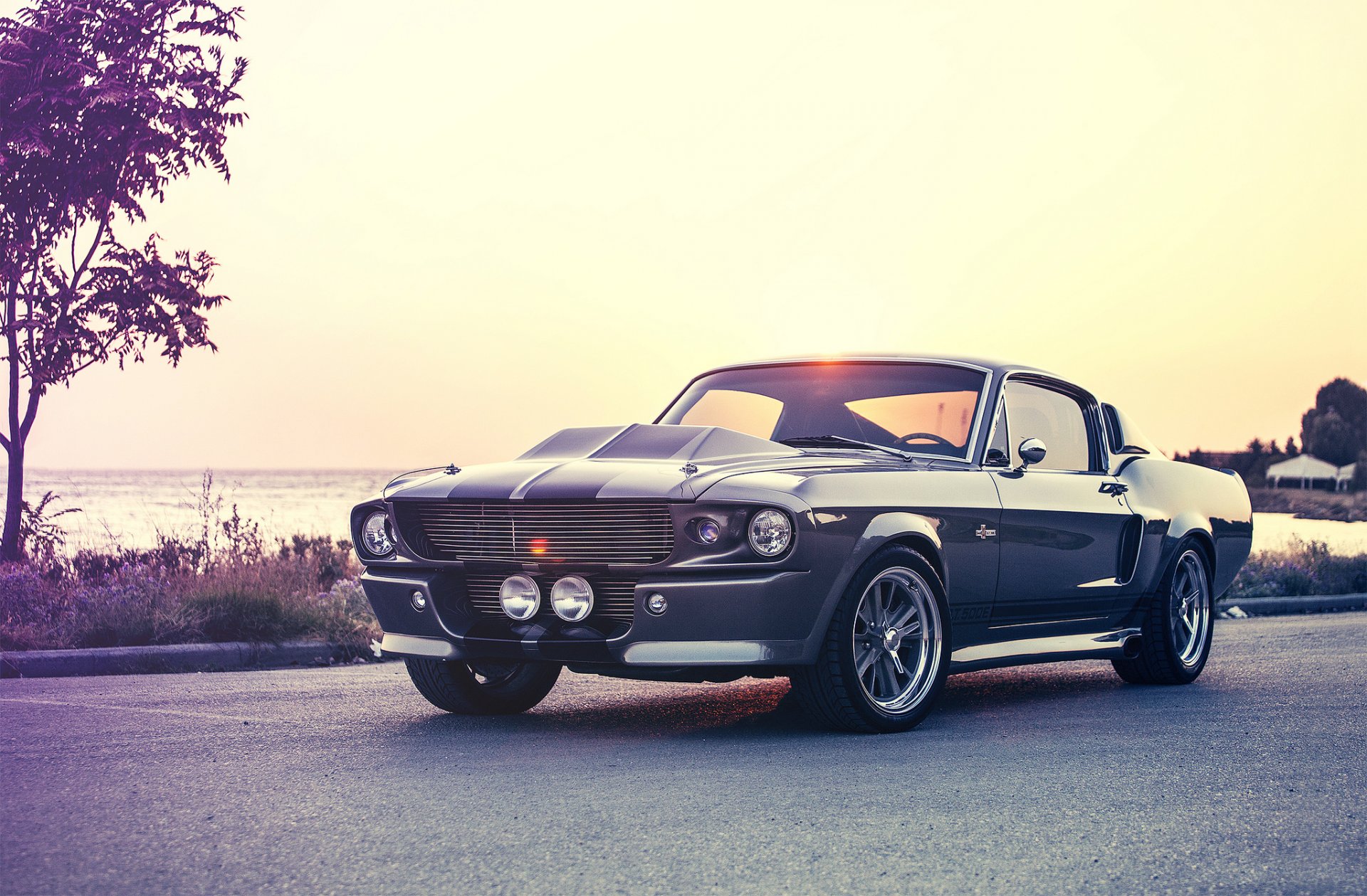 ford mustang eleanor shelby gt500e giannes kokkas fotografia