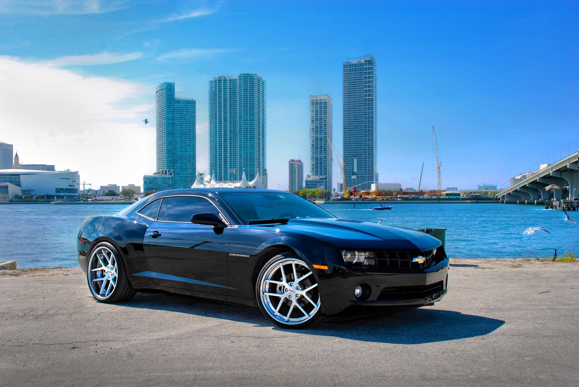 chevrolet camaro ss miami florida negro chevrolet camaro ss terraplén cielo nubes mar