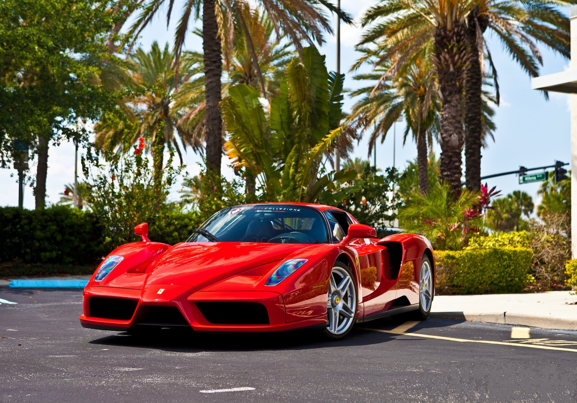 ferrari enzo rosso ferrari rosso vista frontale riflessione asfalto alberi