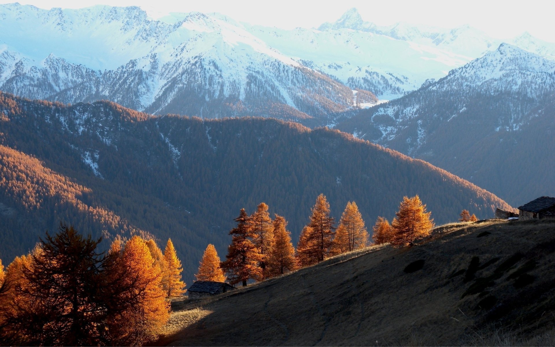 autunno montagne alberi collina foresta