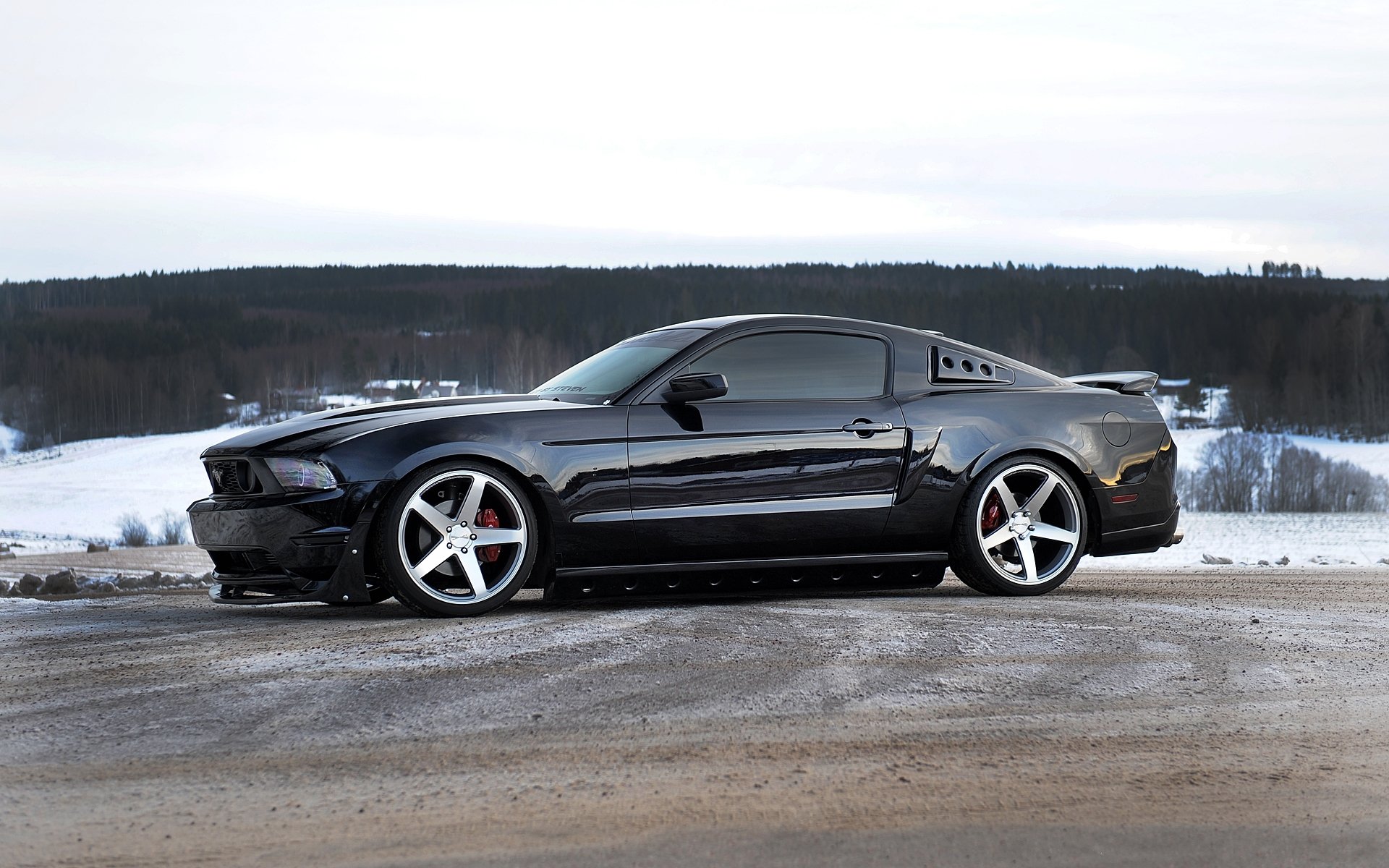 ford mustang negro perfil llantas horizonte bosque cielo