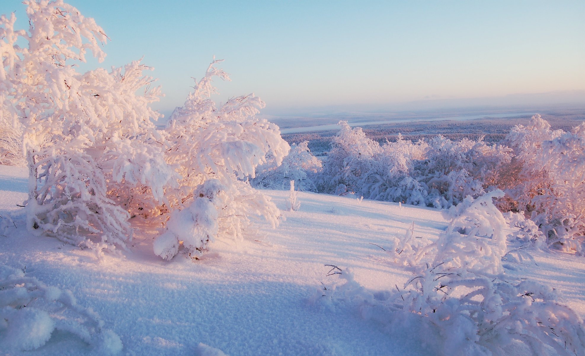 winter horizont himmel sonnig bäume licht schnee