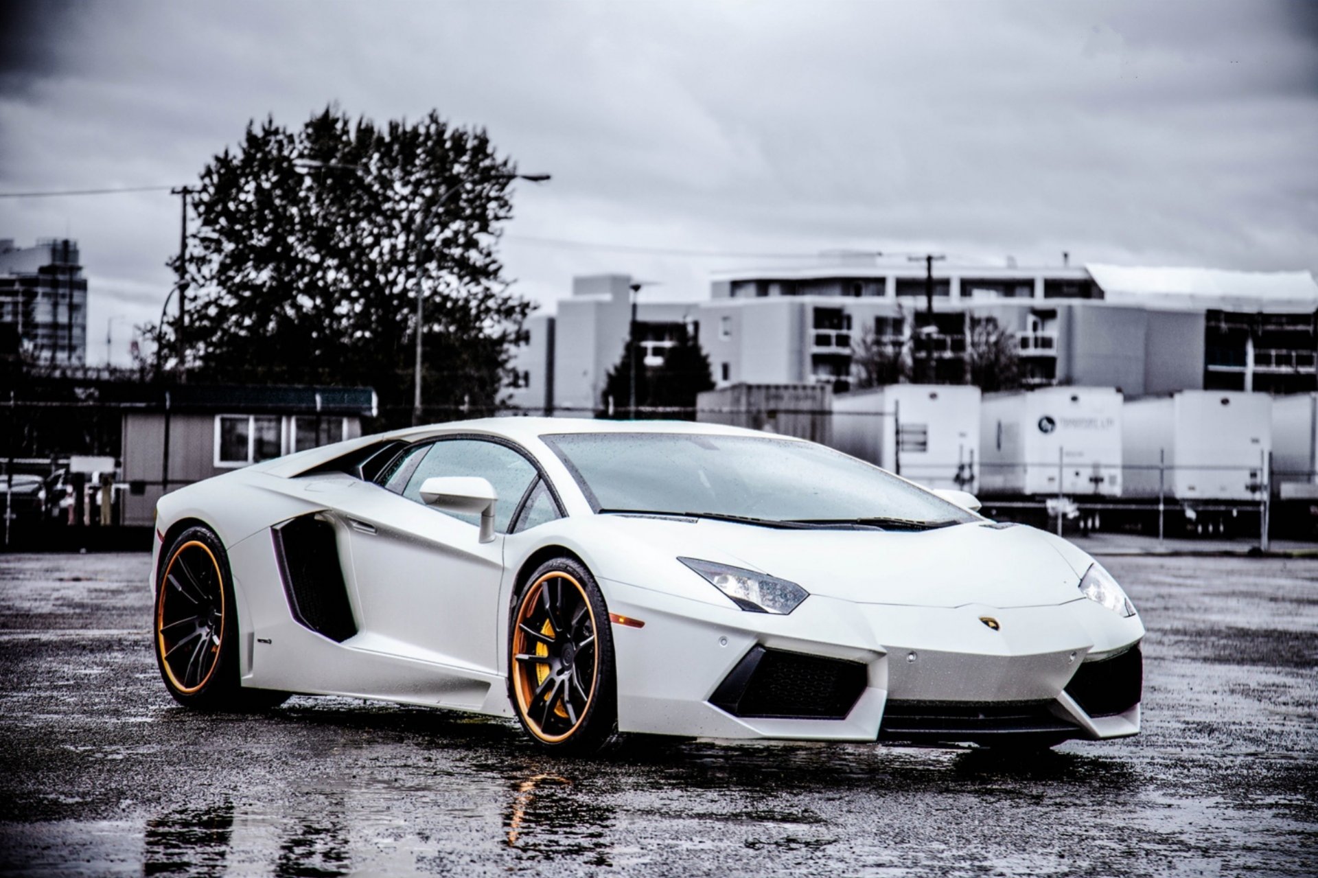 lamborghini aventador lp700-4 blanco ruedas negro lamborghini aventador vista frontal faros de luz llantas negras cielo nubes mojado asfalto