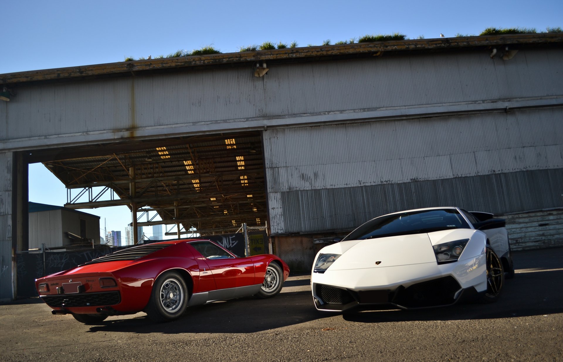 lamborghini murcielago lp670-4 sv bianco miura rosso lamborghini murcielago vista frontale rosso vista posteriore edificio