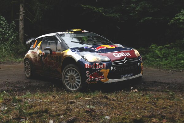 Racing car in the autumn forest