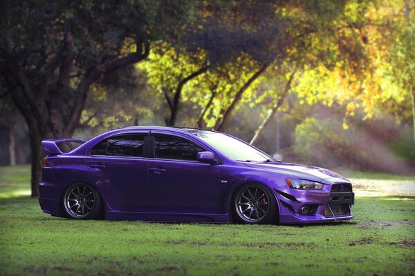 Tuned Mitsubishi against the background of nature