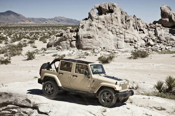 Jeep wrangler hors route