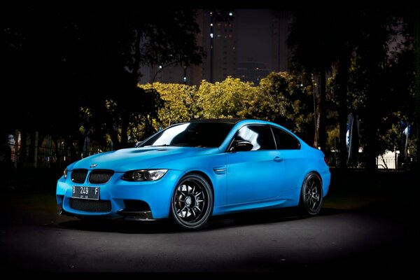 Blue car in the evening by the bushes