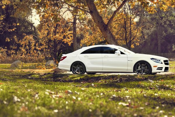 Biały tuningowany Mercedes na tle lasu