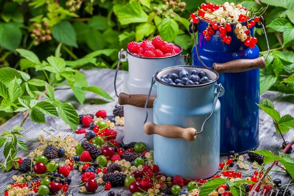 Sommer-Stillleben - gesammelte Beeren in Dosen