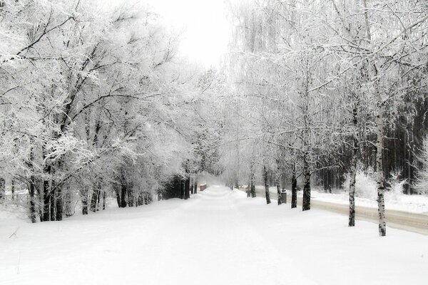 Winter park near the roadway