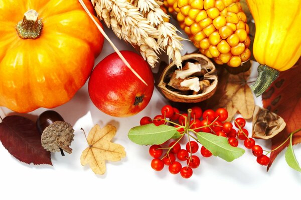 Verduras de otoño bayas y nueces