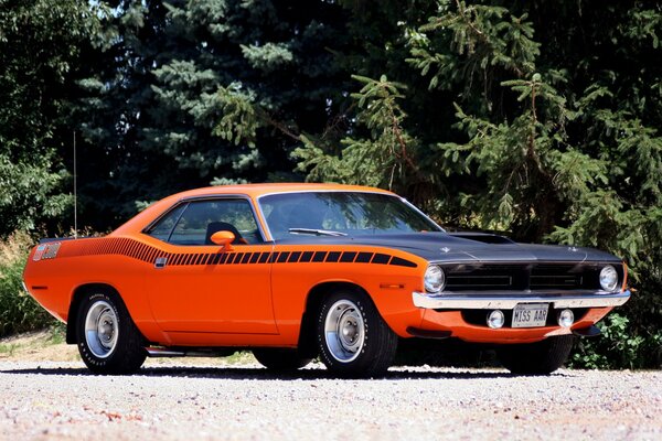 A muscular red car on a sultry road