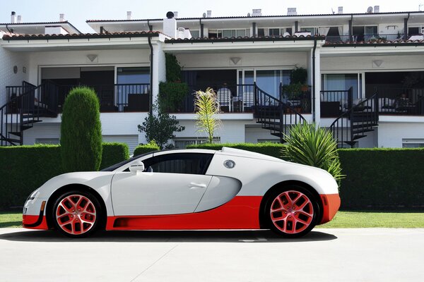 Bianco, rosso, bella bugatti, veyron! Supercar