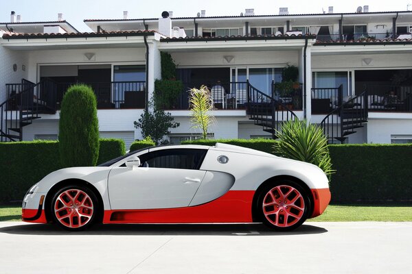 Biały, czerwony, piękny bugatti, veyron! Supersamochód