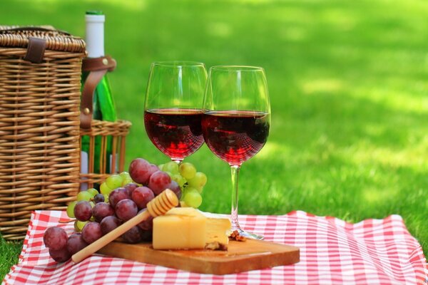 Picnic on a plaid blanket. Wine and cheese