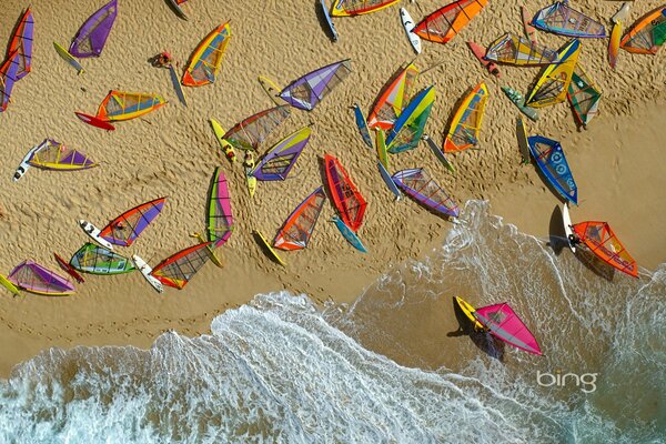 A lot of colorful sailing boards lie on the shore