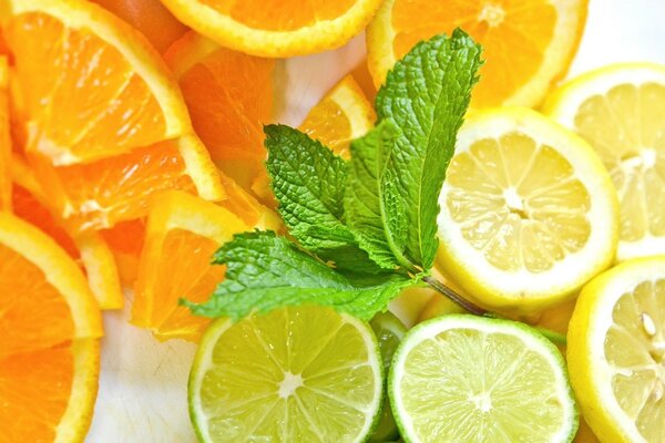 Juicy lemon and orange with mint