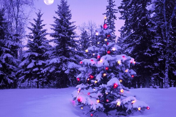 Árbol de Navidad decorado en el bosque de invierno