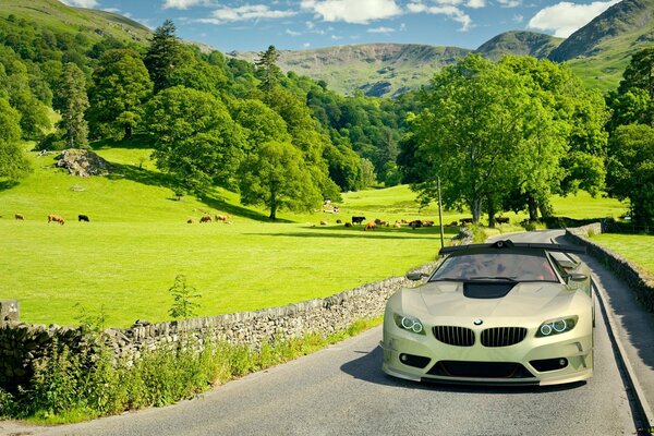 Coche bmw en la carretera en medio de un paisaje pintoresco